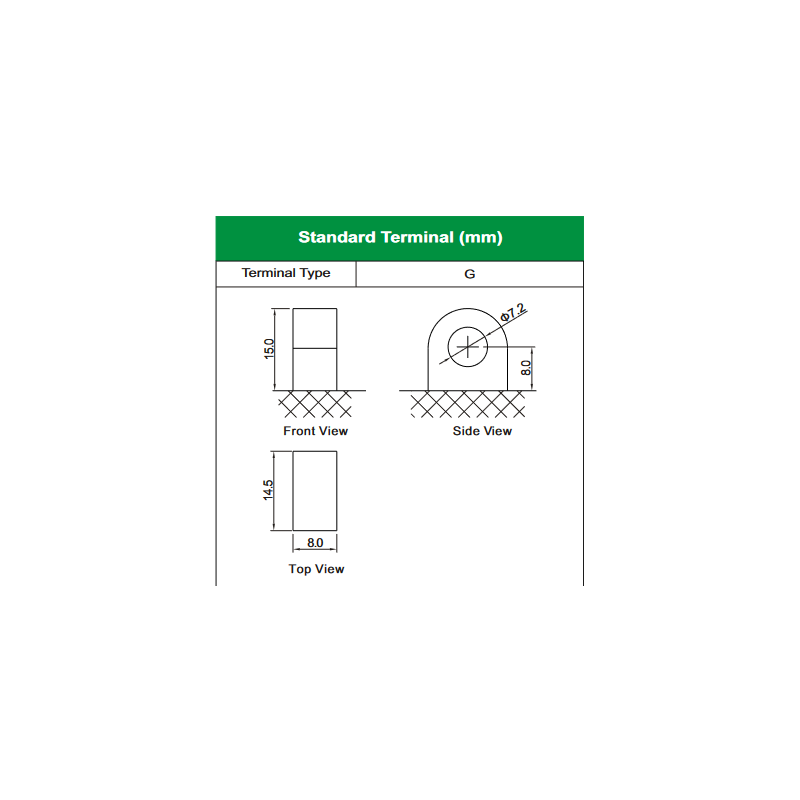 Type N V Ah X X Batterie Leoch Conventional Dry