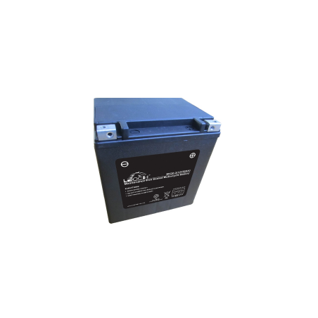 Type MX30-3 12V 30Ah (169x131x175) Batterie Leoch AGM MX-HIGH RATE