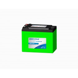 Type LDC1250 [12V...