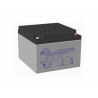 LEOCH LPCG12-24 12V 24Ah layout 2 term M5 (166*175*125) 8.5Kg
