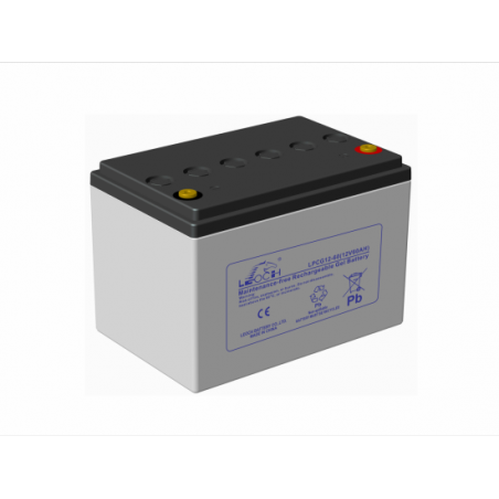 LEOCH LPCG12-60 12V 60Ah layout 2 term T6 (255*170*177,5) 19,7kg