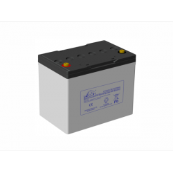 LEOCH LPCG12-70 / 6-EV-80...