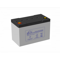 LEOCH LPCG12-100 / 6-EV-100...