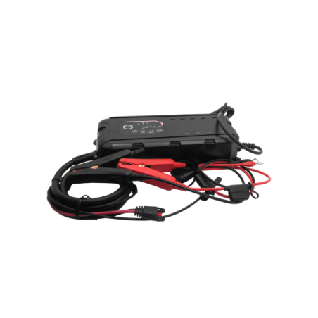 LEMANIA LEM1224250 smart charger 12/24V- 25A/12.5A